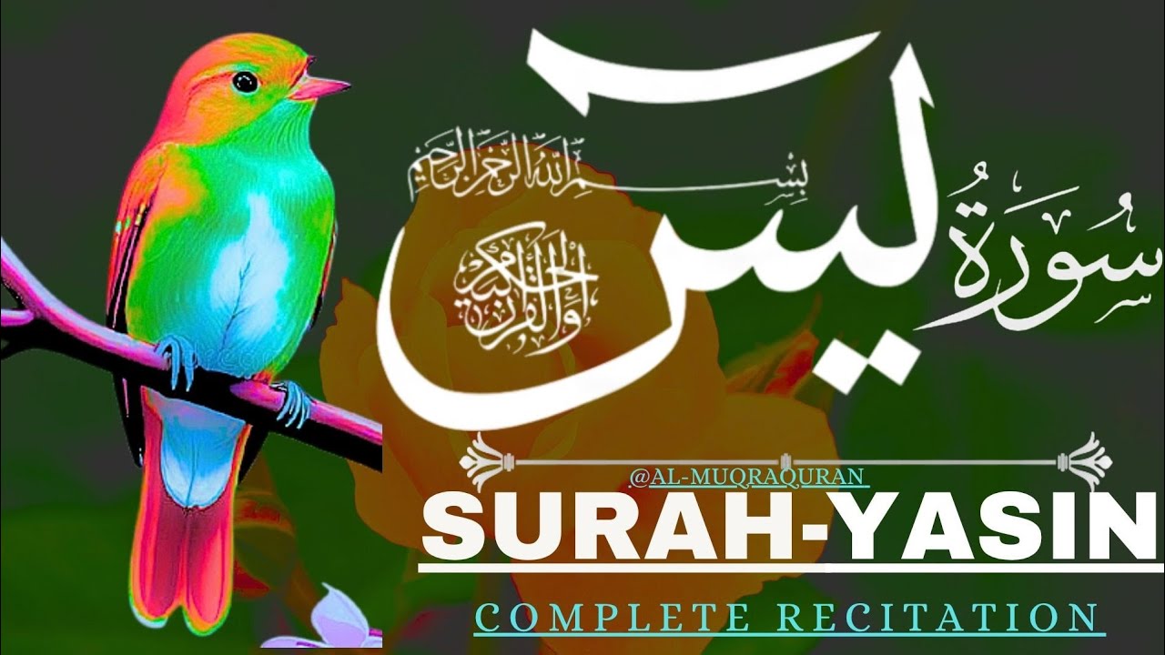 Surah Yaseen(Yasin) | Full Episode 79 | Beautiful Quran Recitation | Al Muqra 