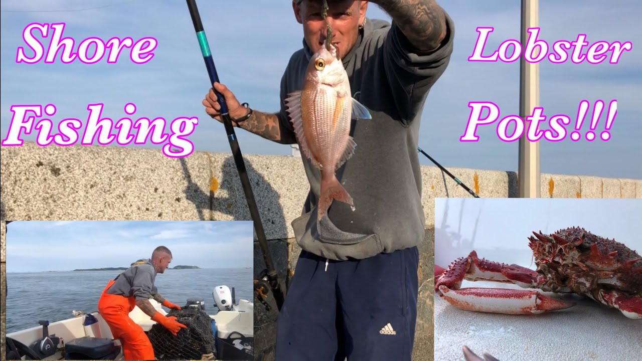 Lobster Fishing/ Shore Fishing!! Hunting Couches Bream!!!