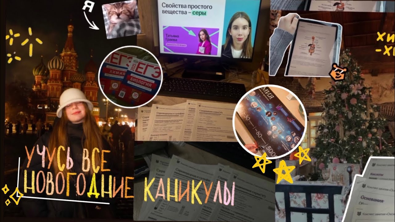 STUDY VLOG: учусь все новогодние каникулы, подготовка к егэ версия химбио