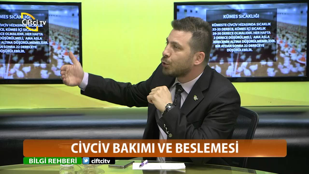 Bilgi Rehberi/Civciv Besleme