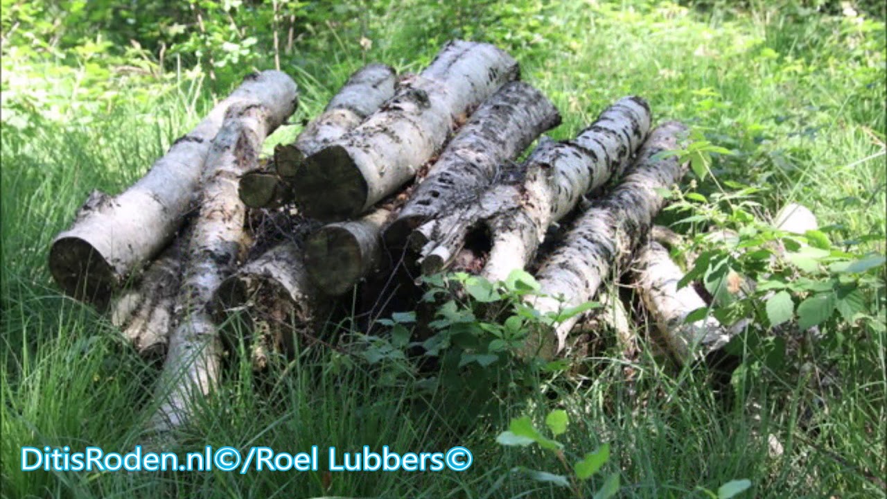 Nieuw knuppelpad in Natuurschoon Nietap/Terheijl