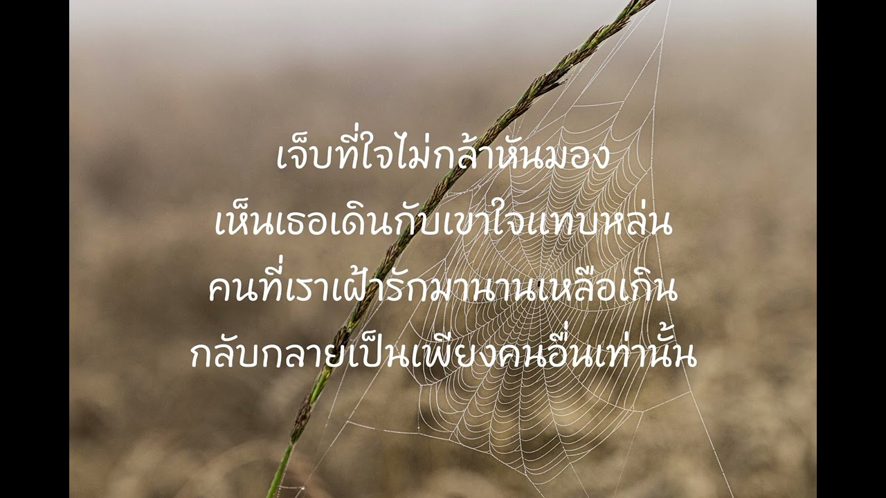 เจ็บที่ไม่กล้าบอกใคร-Ai@By Surachet Ton Music 