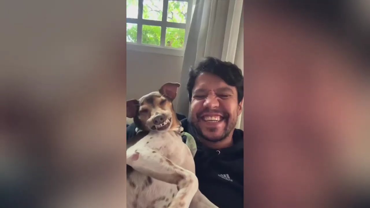😀😂😀😂 funny videos