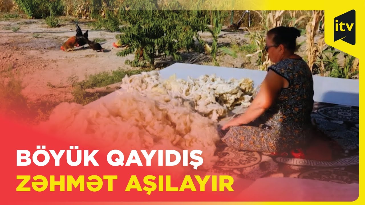 Zəngilan rayonunun Ağalı kəndində bağlı bağatlı meyvə bağları