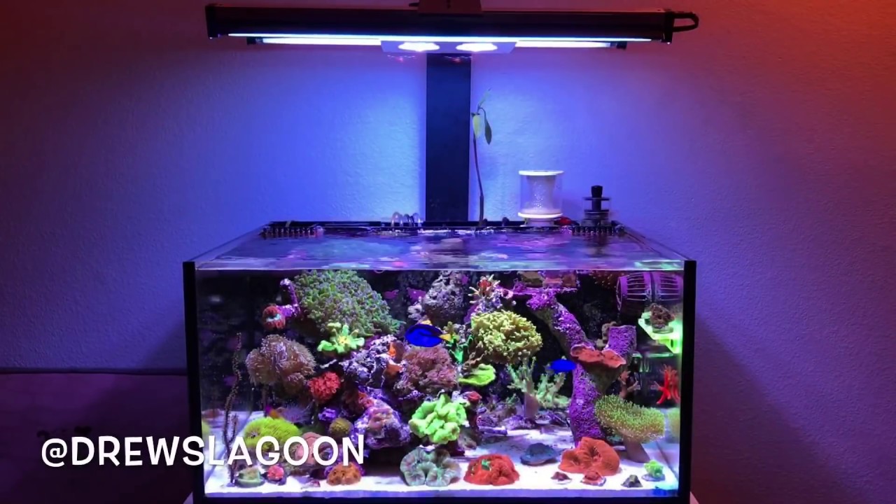 Innovative marine fusion lagoon 25 led t5 hybrid