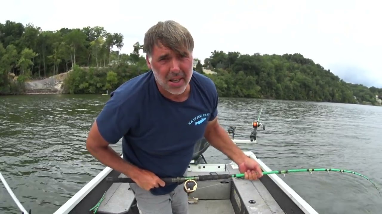 Is This The New King Of Catfish Baits?