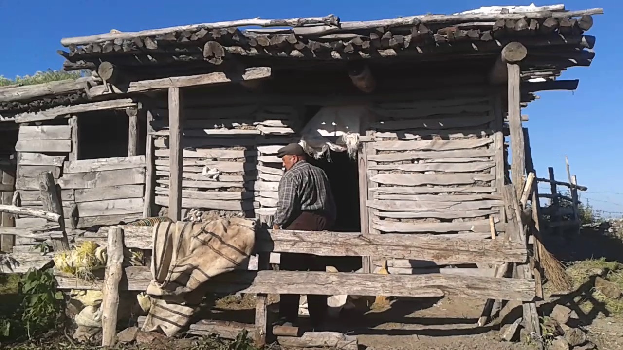 YAYLA        CEKİM        YAPAN        BAYRAM      SAN       2017