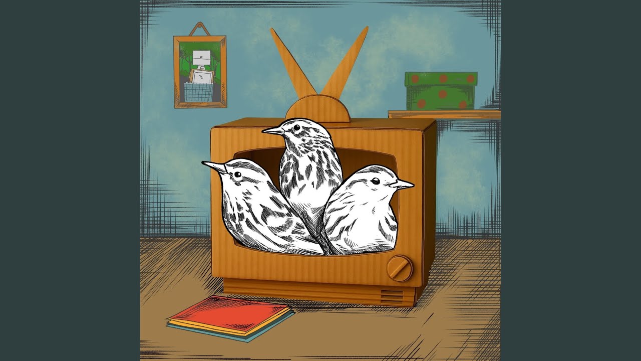 Televisor