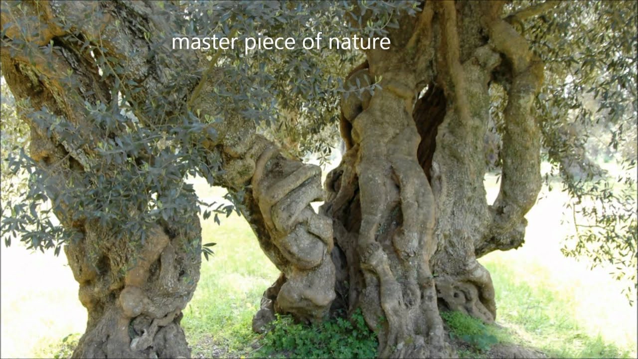 Why I love Puglia?