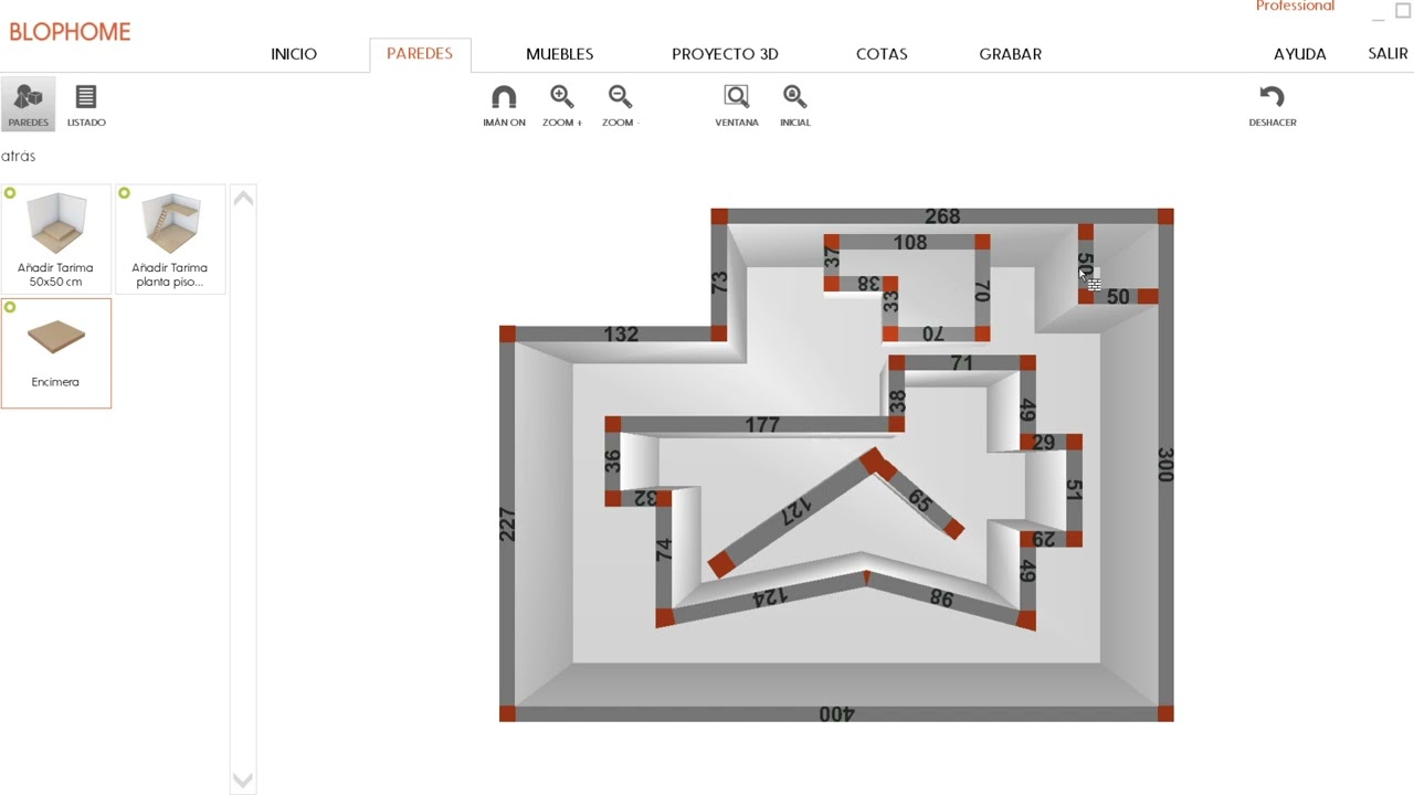 Blophome, VideoBlop de la pesta&ntilde;a de PAREDES