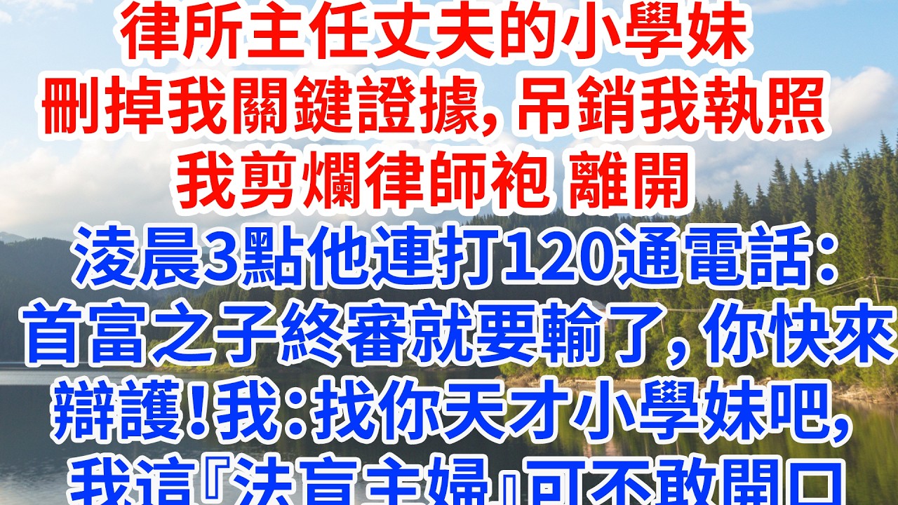 律所主任丈夫的小學妹刪掉我關鍵證據，吊銷我執照，我剪爛律師袍 離開。淩晨3點他連打120通電話：首富之子終審就要輸了 你快來辯護！我：找你的天才小學妹吧，我這個『法盲主婦』可不敢開口