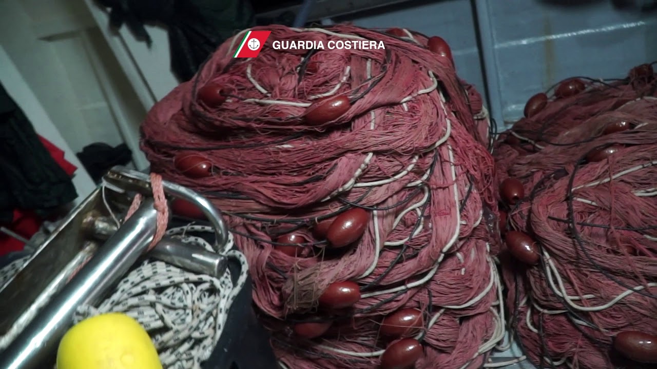 Il sequestro operato da Nave Bruno Gregoretti (CP 920) - Guardia Costiera