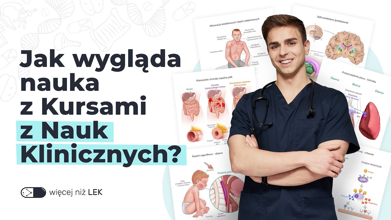 Jak wygląda nauka z Kursami z Nauk Klinicznych? | Więcej niż LEK