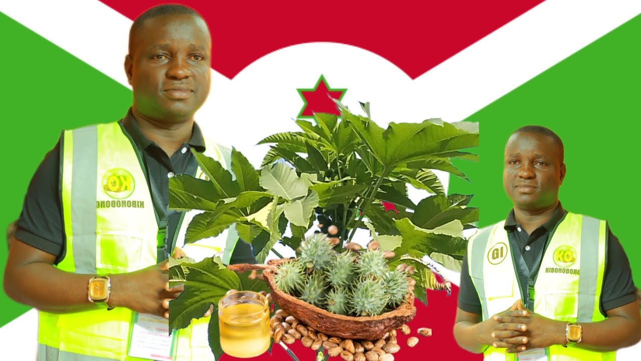 🇧🇮UMURUNDI AHAZE🍜 UMURUNDI AGUWE🧑‍🤝‍🧑 NEZA TUGIYE HAMWE👭 TWESE BIRASHOBOKA💪