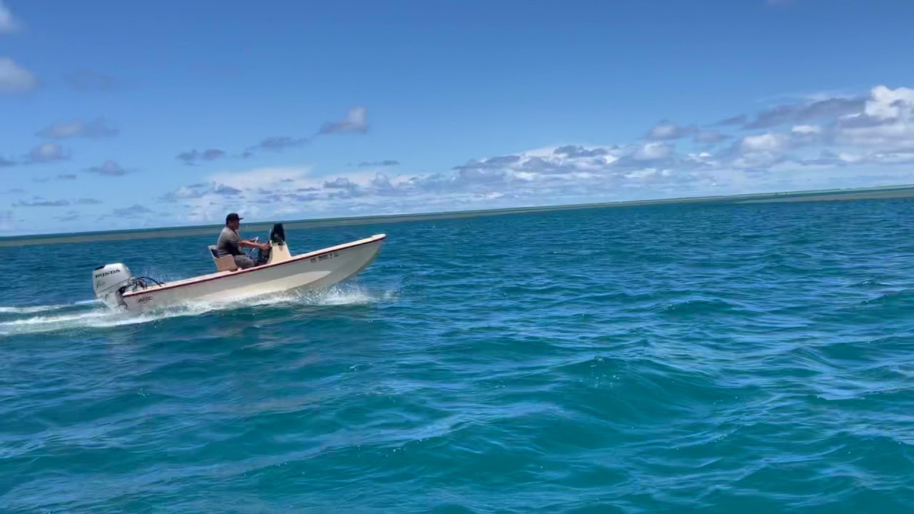 Honda 50 Vs Evinrude 70 who will win?
