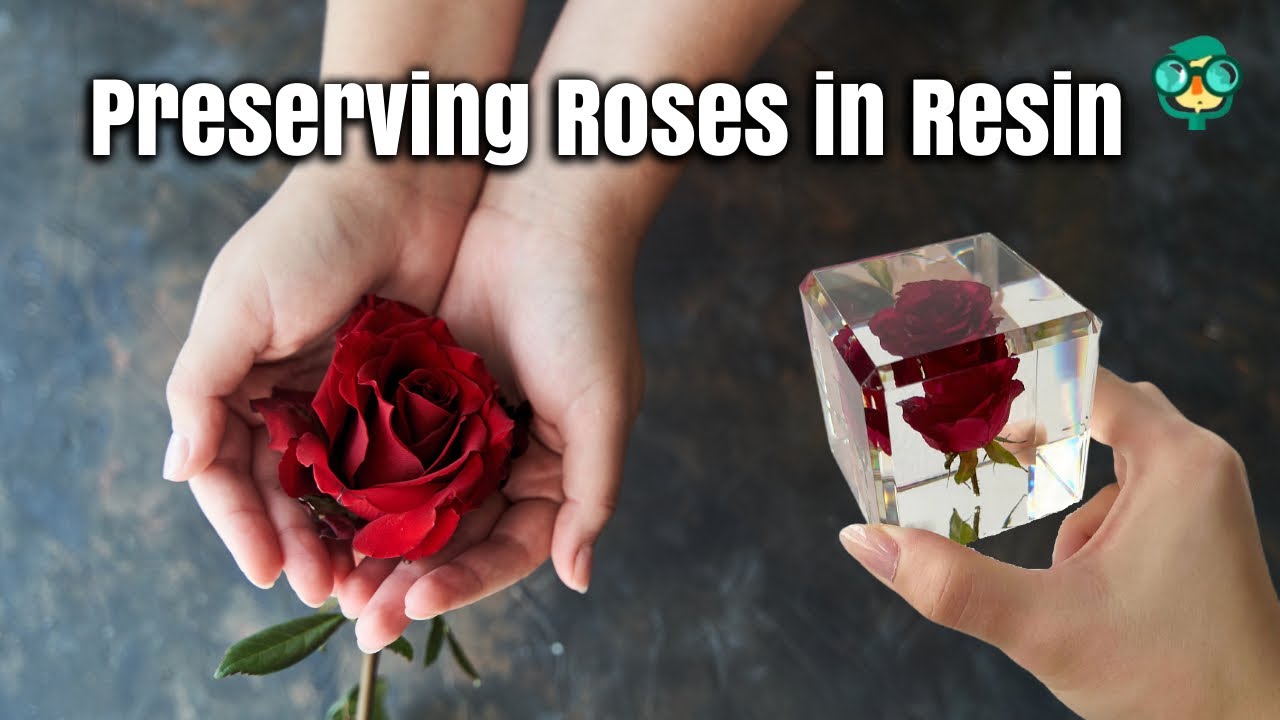 How to Preserve Roses in Resin | DIY Rose Preservation| Preserving Roses in Resin Step by Step Guide