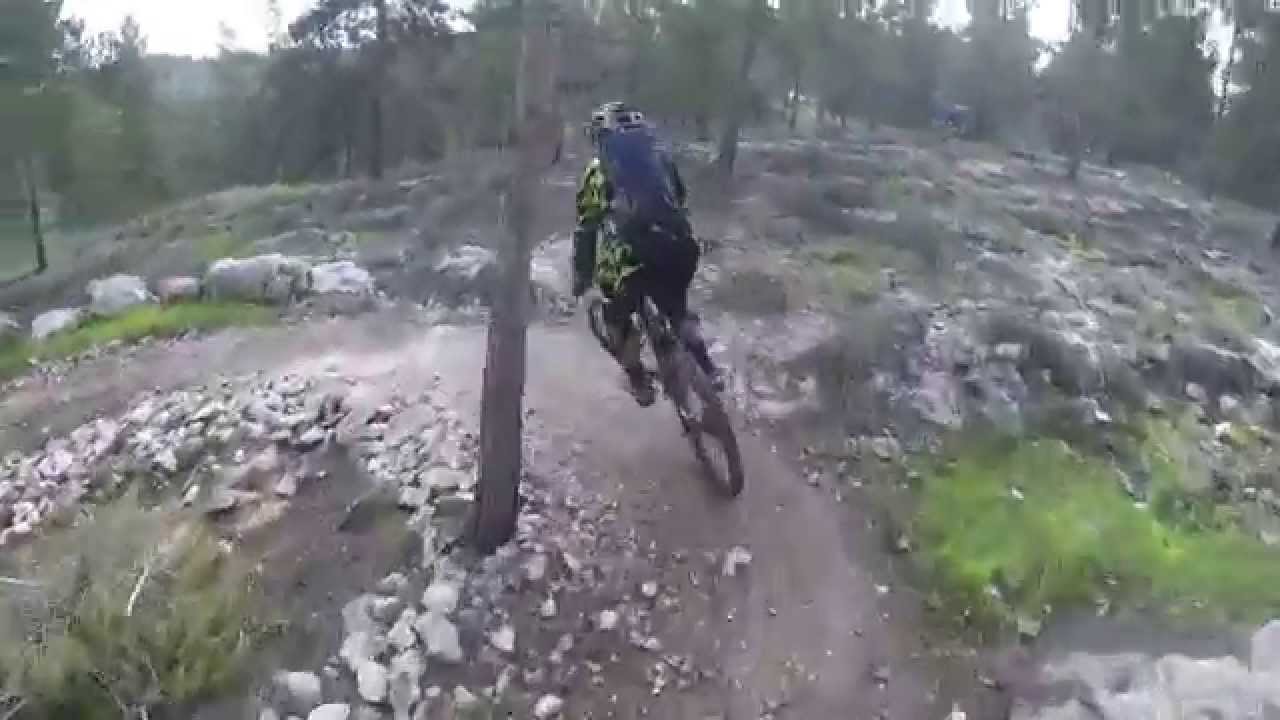 סינגל יער להב