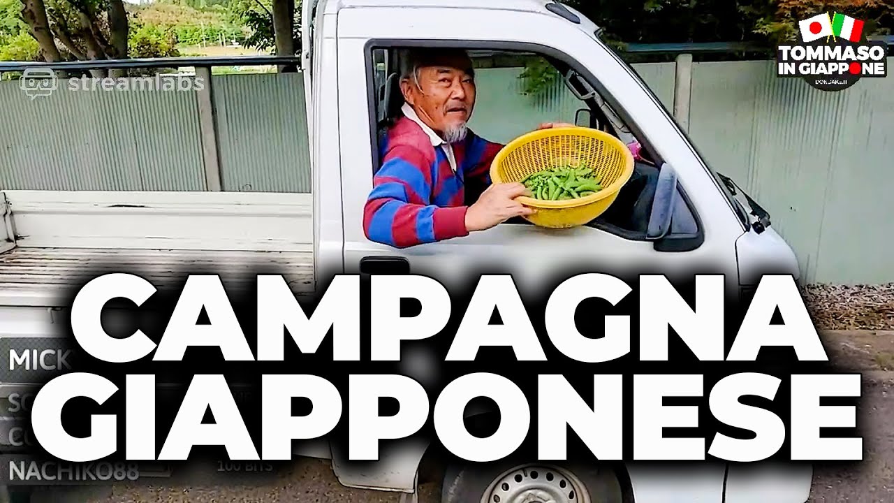 CAMPAGNA GIAPPONESE: RISAIE, TEMPLI E CIMITERI