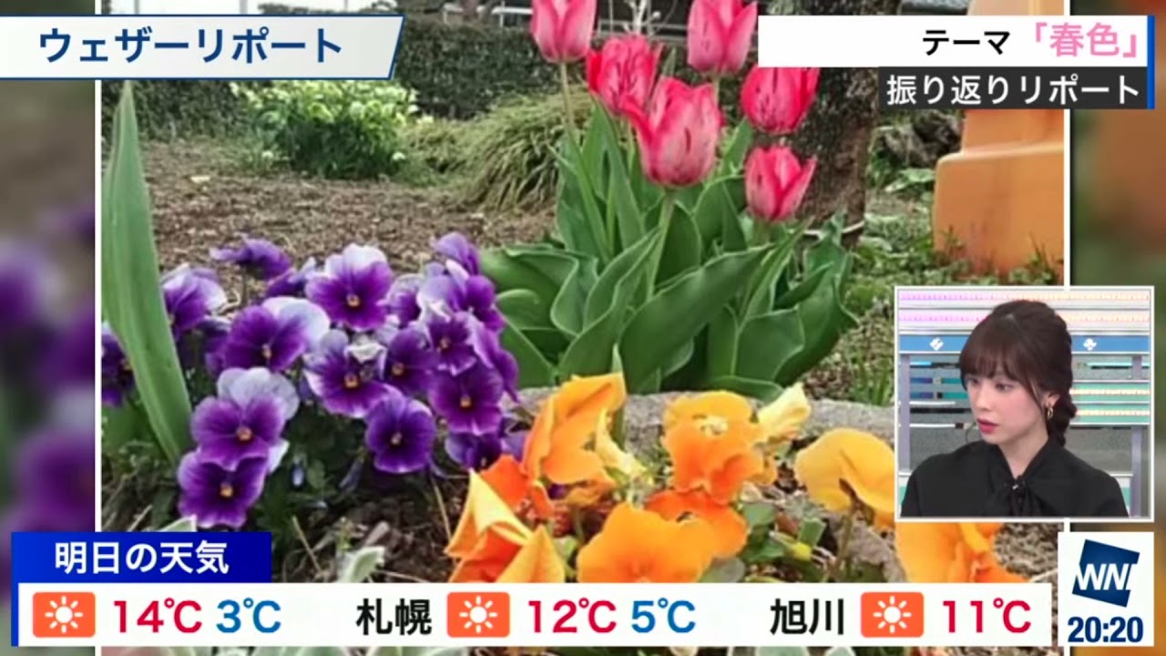 【松雪彩花(あやち)】🌈🎀ハナノナのアプリを使ってる話