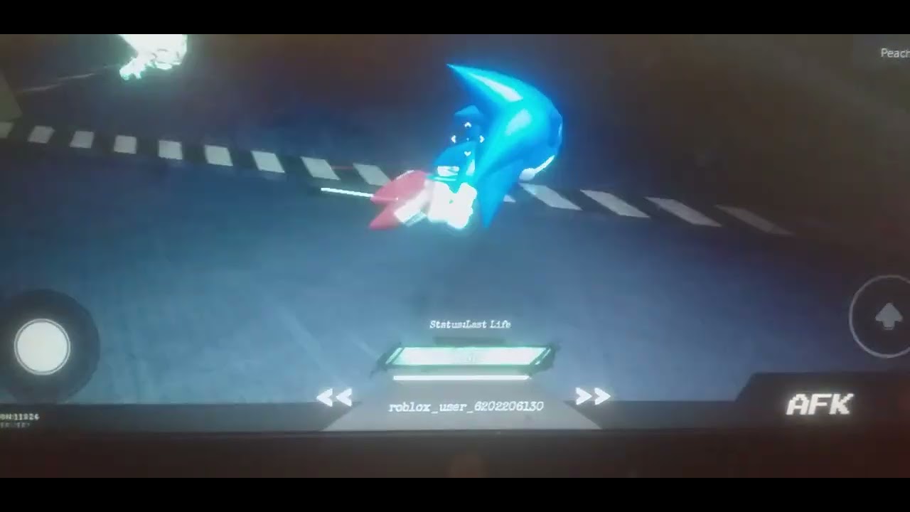 Another sonic mod lms(I'm spectating btw)