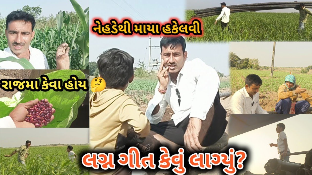 ભાઈ મારા અને જલાના ગીત ના સુર કેવા લાગ્યા🤣 | બાકી આપણી જુવારનો નજારો જોવ 😊 | અને live village life
