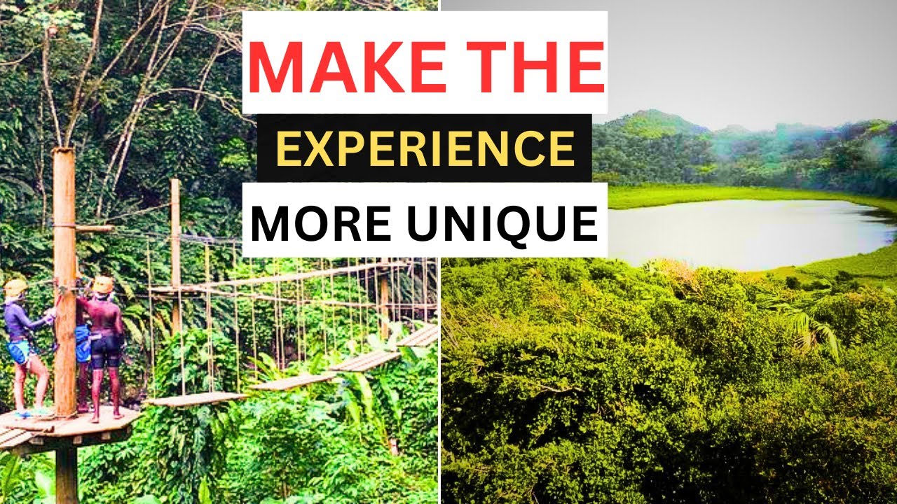 Grand Etang National Park  10 most attractive places to visit in Grand etang