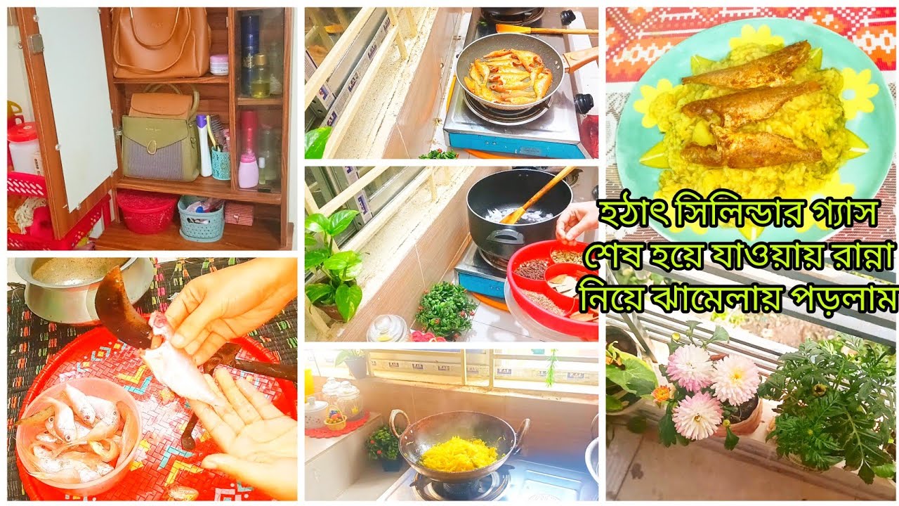 পারটেক্সের ফার্নিচারের ফাঙ্গাস পার্মানেন্ট দূর করার উপায়। একটা সিলিন্ডার আমার কতদিন যায় 