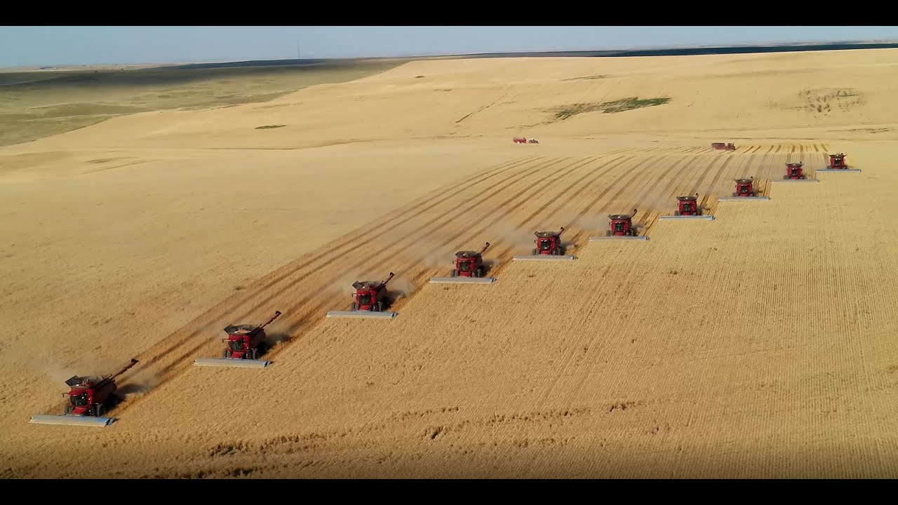 Stripper Header  USA video