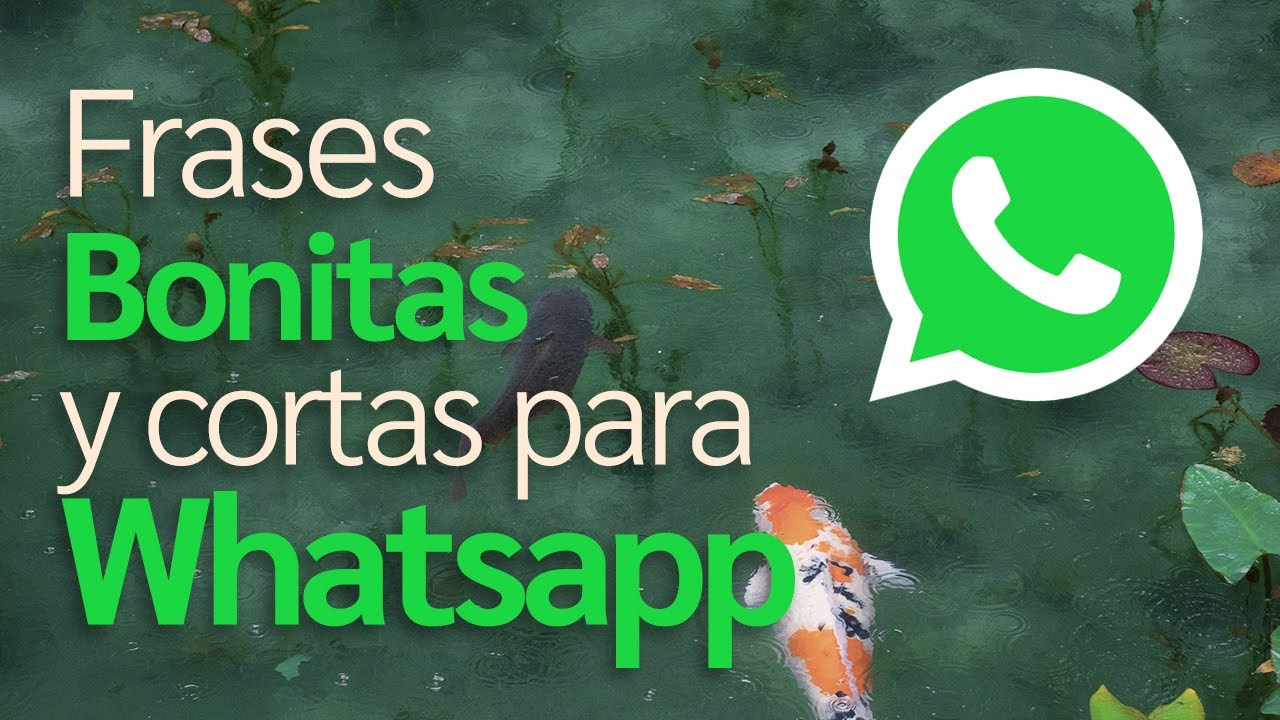 Frases Bonitas y cortas para Whatsapp (2025) (4k)