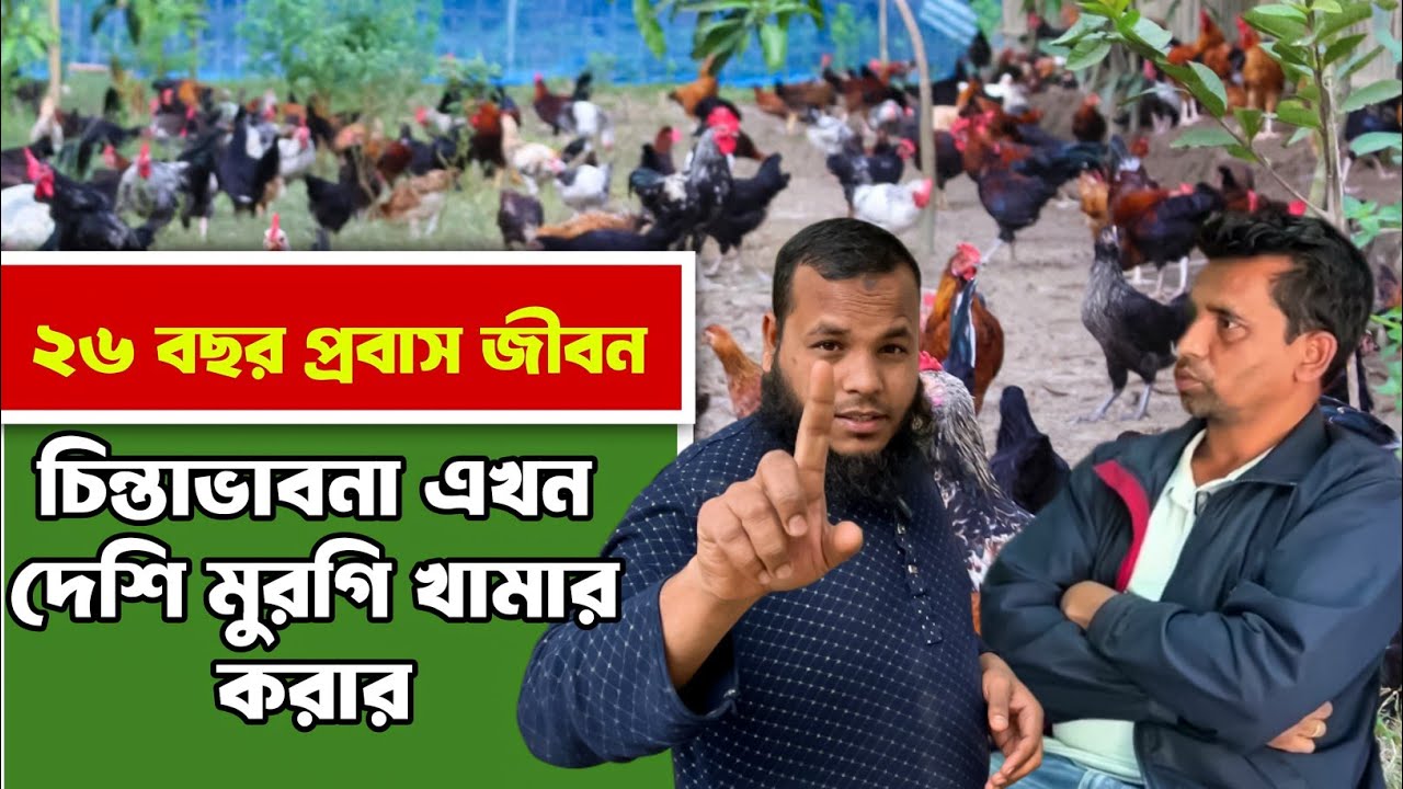 প্রবাস ফেরত ভাইয়ের দেশি মুরগির খামার: নতুন উদ্যোক্তাদের জন্য পূর্ণাঙ্গ গাইডলাইন।