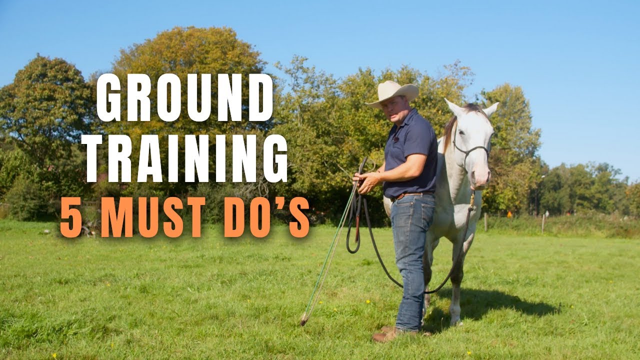 Top 5 Must Do's with every horse on the ground