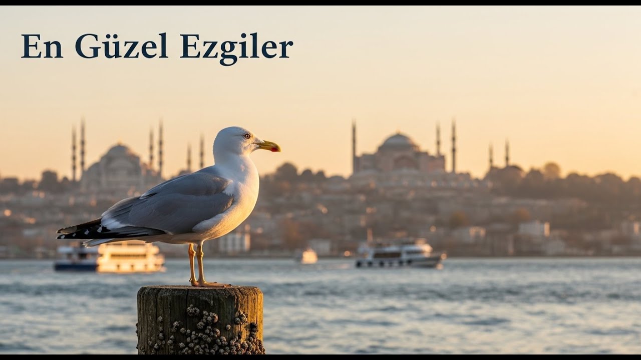 (CANLI 7/24) Kaliteli Çalışma Fon Müzikleri • Huzur Veren Hüzünlü Müzikler ♫