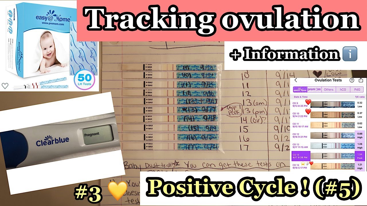 I'M PREGNANT ! OVULATION LINE PROGRESSION |POSITIVE CYCLE 5| + HOW TO READ OVULATION TESTS BEGINNERS