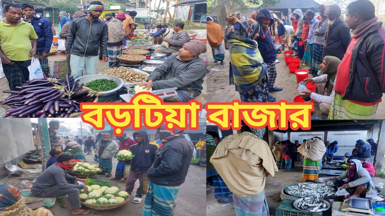বড়টিয়া সকালের বাজার/Barotia Bazar @Manikganjprotidin