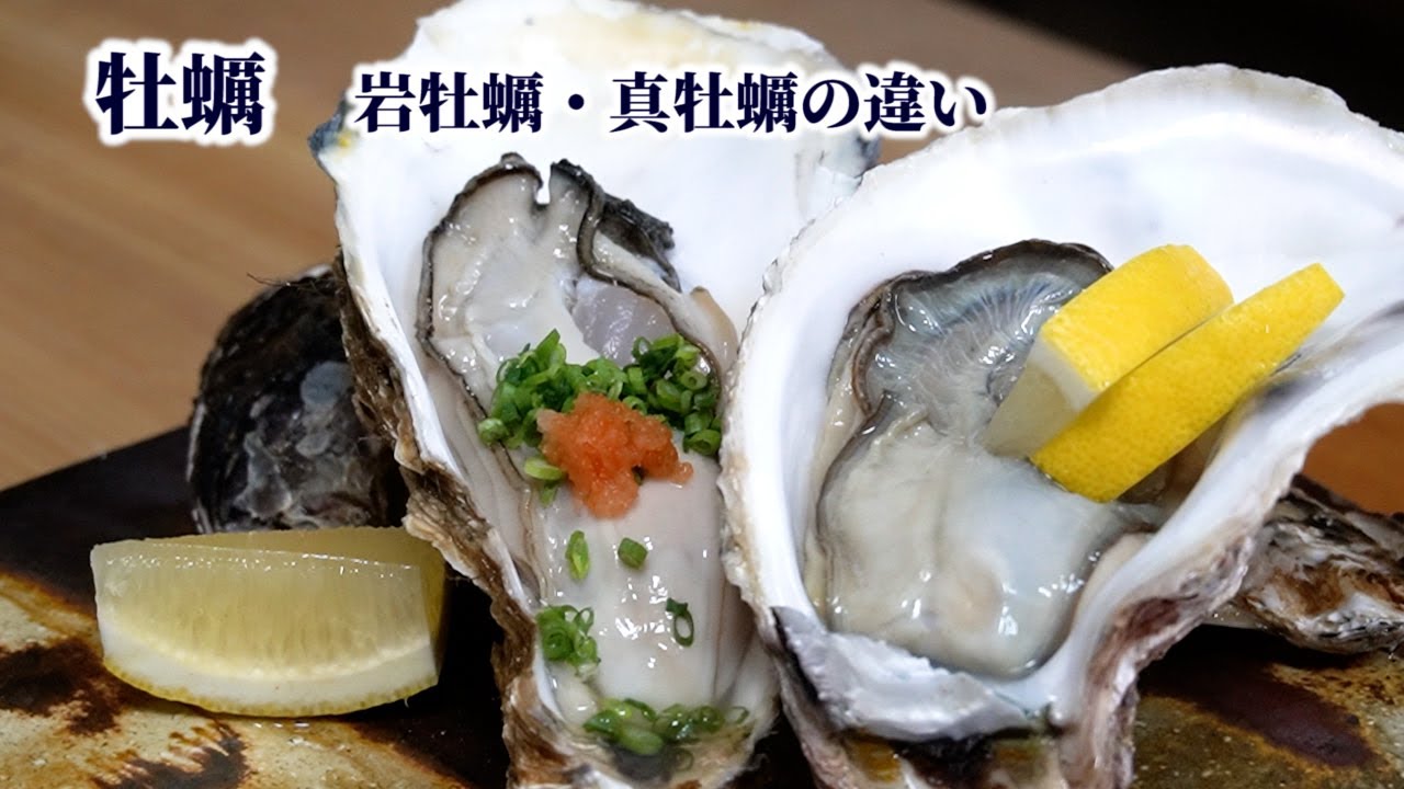 牡蠣の剥き方と大根おろしでの洗い方（下処理方法）岩牡蠣と真牡蠣の違いも紹介