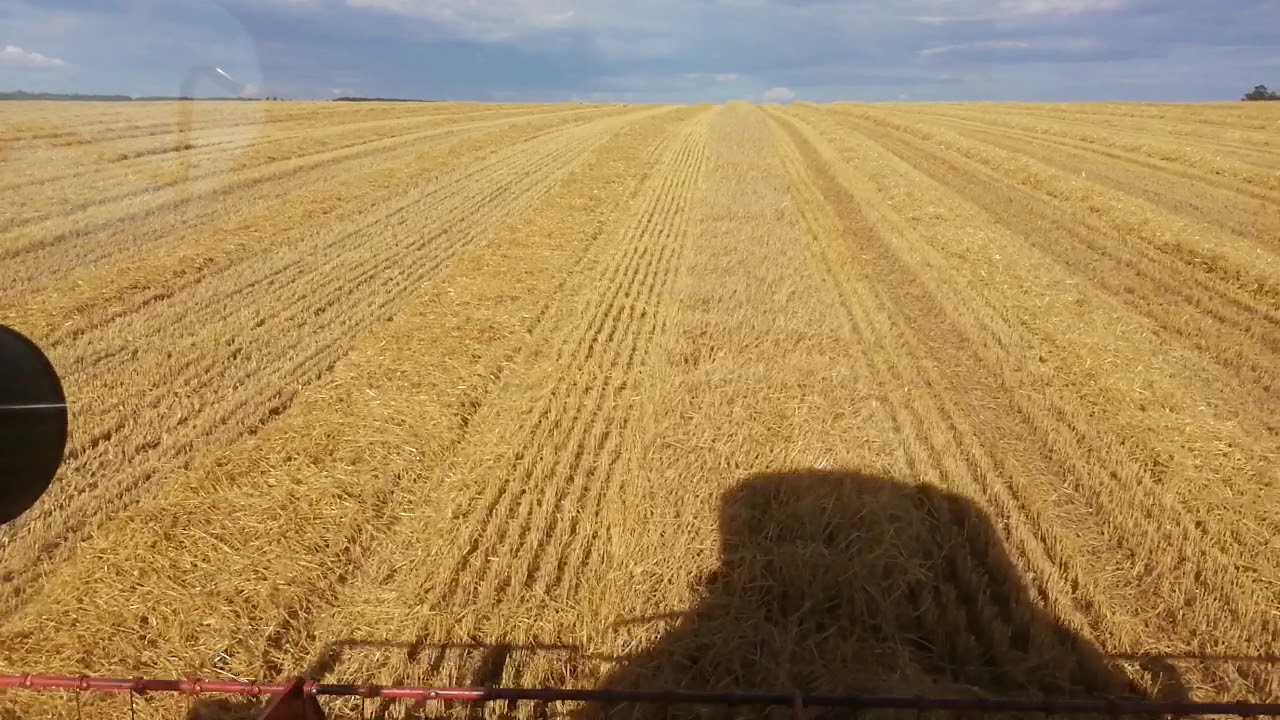 Claas Dominator 106 melegedésével kapcsolatos megjegyzésem.