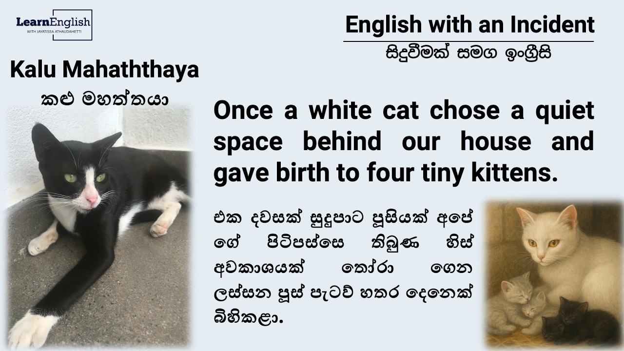 English with an Incident | සිදුවීමක් සමග ඉංග්‍රීසි | The Story of Kalumahaththaya| කළුමහත්තයාගේ කතාව