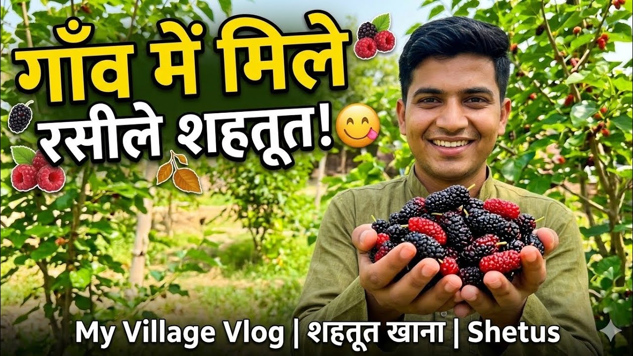 सबसे बढ़िया: गाँव में मिला बचपन का फल - Mulberry Eating Vlog 🍇
