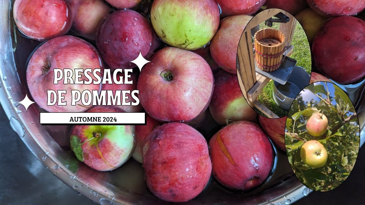 Fabrication jus de pommes artisanal | Version SLOW T.V.