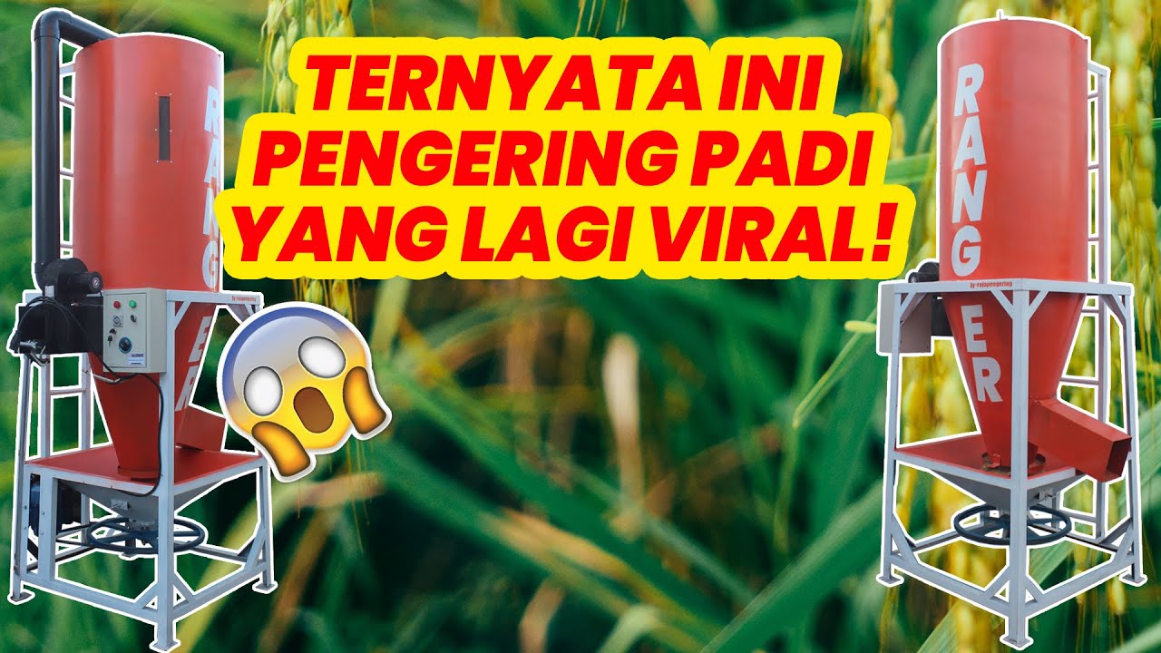 1 TON PADI SEKALI PROSES! PENGERING PADI JAGUNG FULL OTOMATIS! VERTICAL DRYER INFO : 081217285590