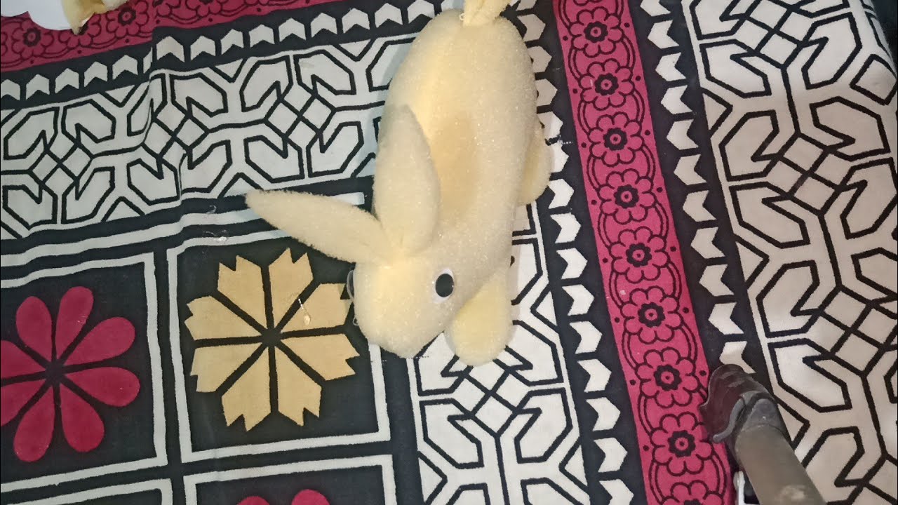 How to make sponge beautiful and 🐇 rabbit