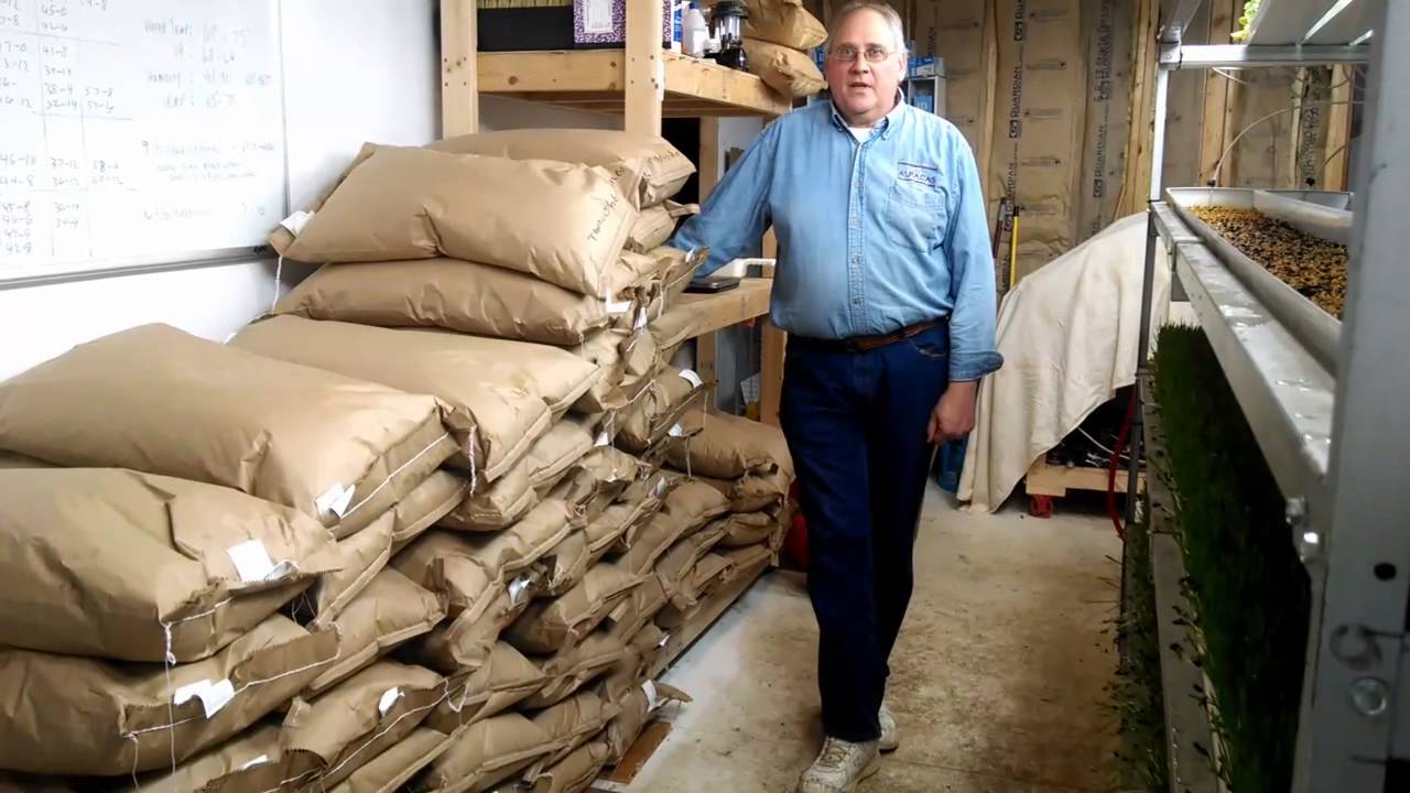 Fodder at Two Branch Ranch