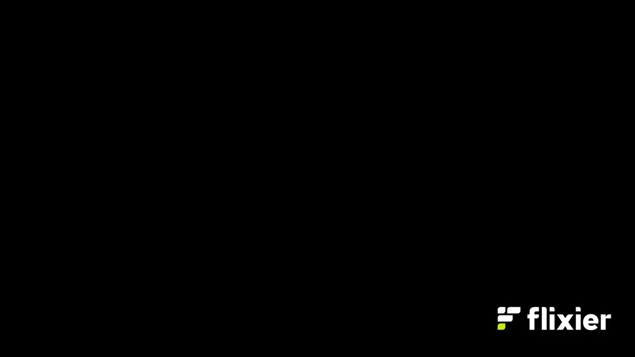 fleisher project vid