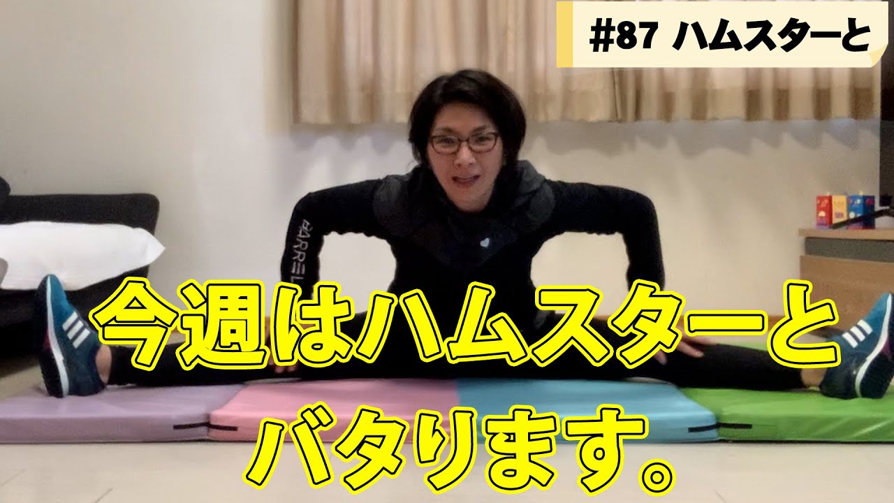 【バタる】#87 ハムスターと共にバタる！