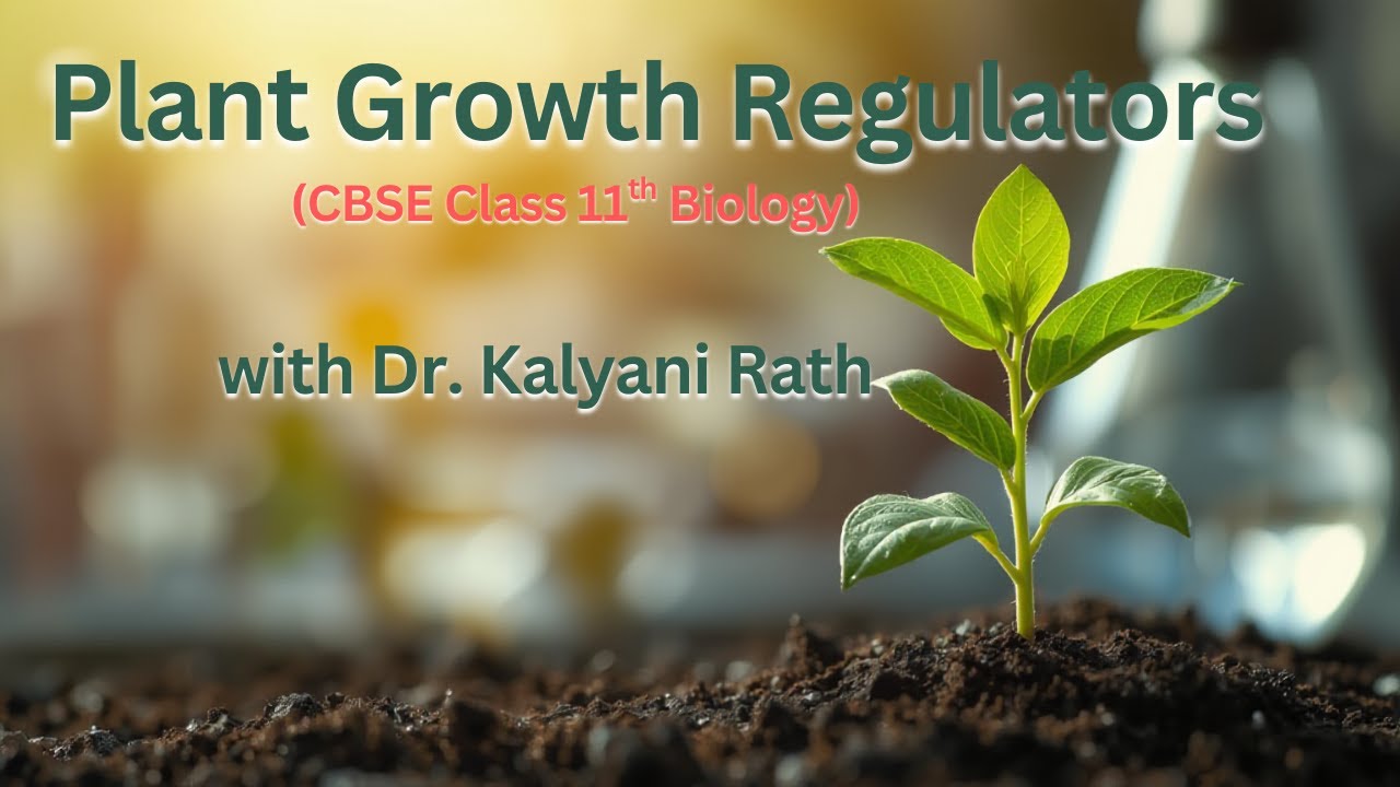 Plant Growth Regulators (Growth and Development Part 1), CBSE Class 11 Biology