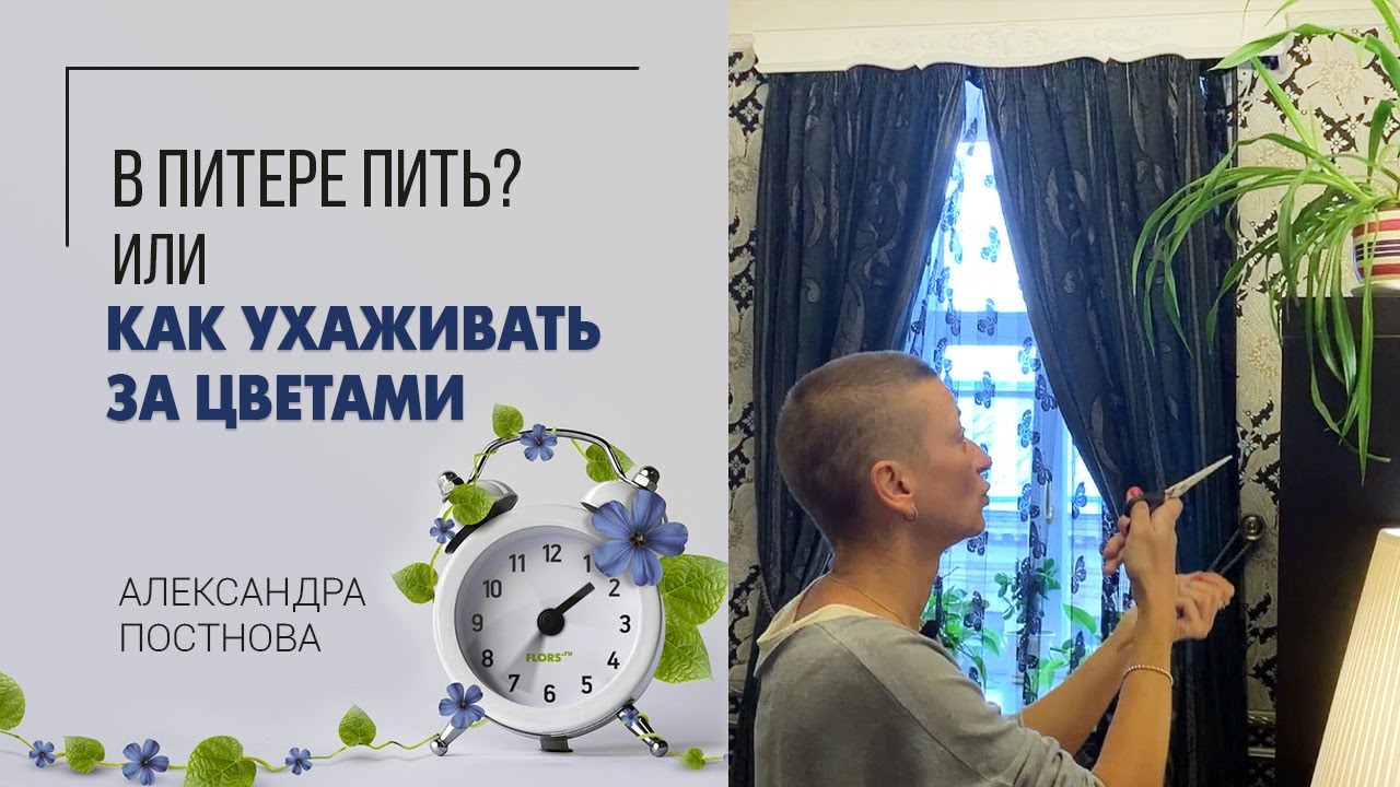В питере пить? Если ты цветочник, то это необязательно) А вот мимо цветов пройти не получается.