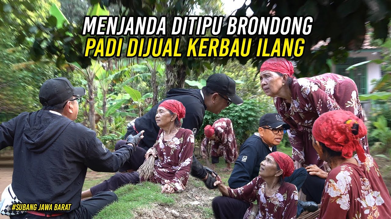 CURHAT MAK WACIH SAAT MENJANDA DITIPU BRONDONG-PADI DIJUAL KERBAU PUN HILANG-USAHA TINGGALKAN UTANG
