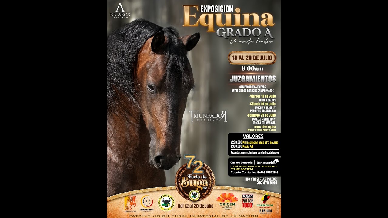 EXPOSICION EQUINA GRADO 