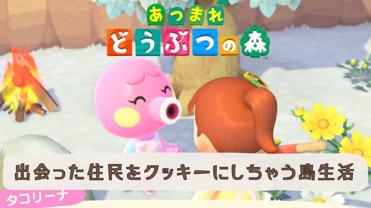 【あつ森】離島ガチャ成功なるか？？新人vtuberつるたんクッキーの０から島作り/あつまれどうぶつの森