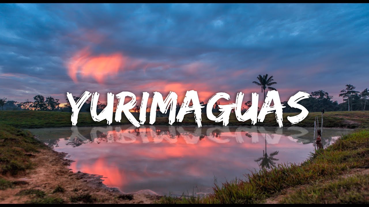 Yurimaguas - La Perla del Huallaga. Loreto, Perú (ARFM)